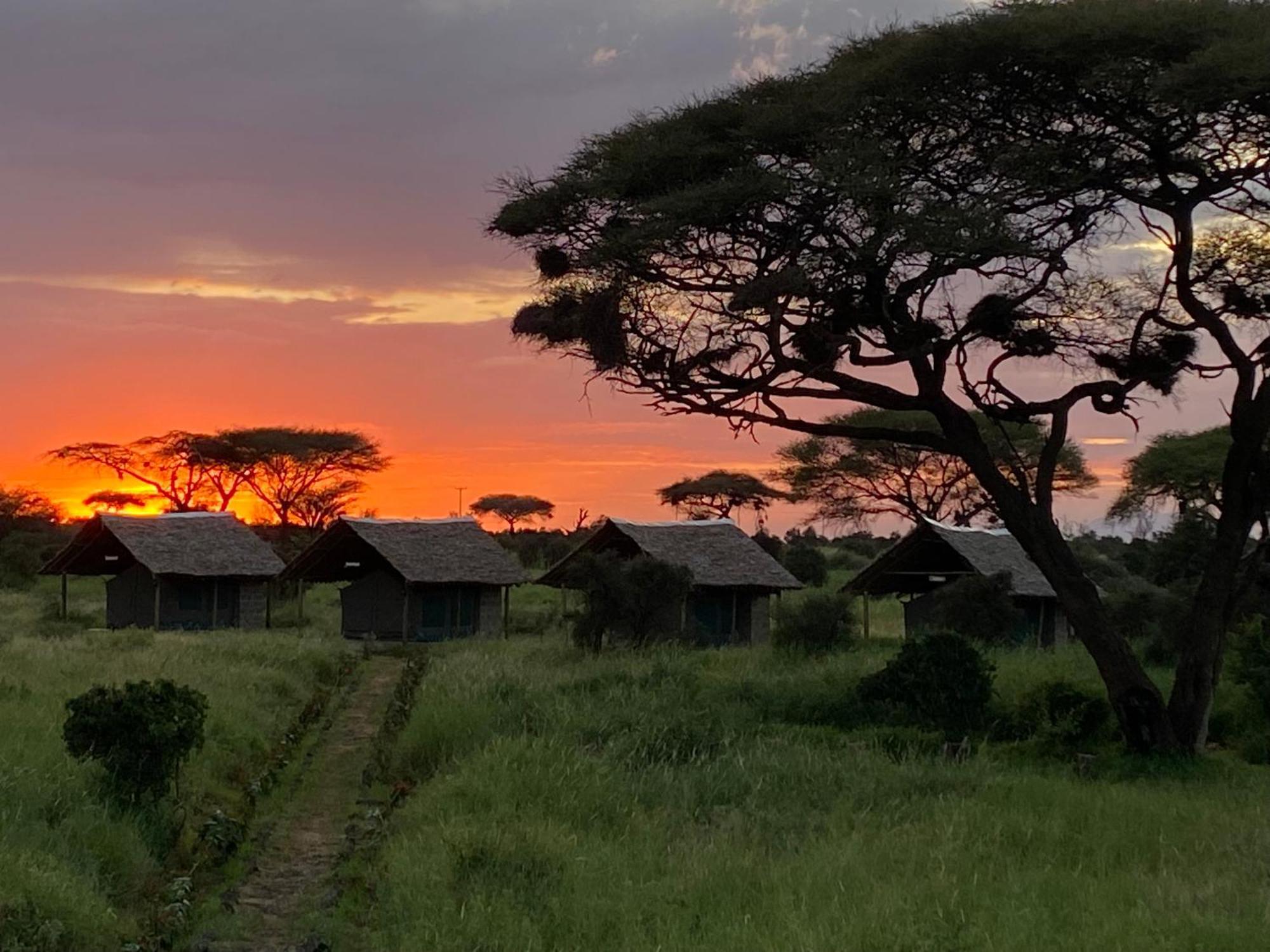 Amboseli Discovery Camp מראה חיצוני תמונה