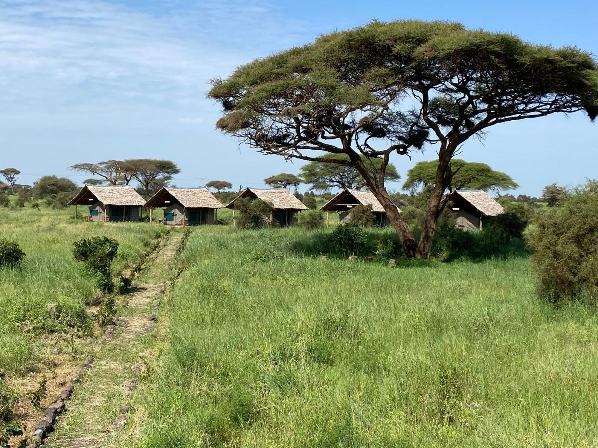 Amboseli Discovery Camp מראה חיצוני תמונה