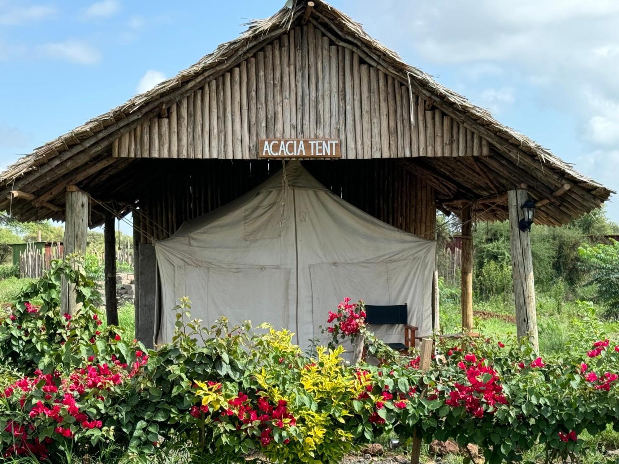 Amboseli Discovery Camp מראה חיצוני תמונה